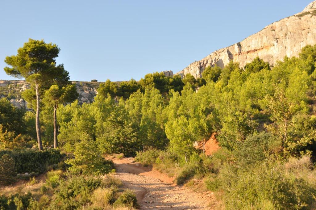 La Ferme Bed & Breakfast Saint-Marc-Jaumegarde Dış mekan fotoğraf