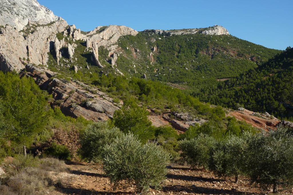 La Ferme Bed & Breakfast Saint-Marc-Jaumegarde Dış mekan fotoğraf